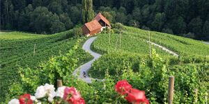 LAS Srce Štajerske: Od ideje do spremembe s projekti, ki oživljajo lokalno okolje v srcu Štajerske