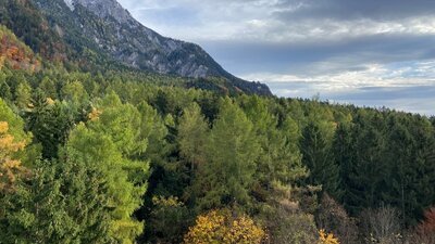 Vabilo na spletni seminar o migracijah mladih v alpskih regijah