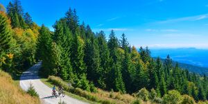 S smelimi načrti v tretje leto partnerstva