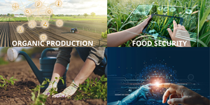 MEET4BUSINESS - AGRA 2023